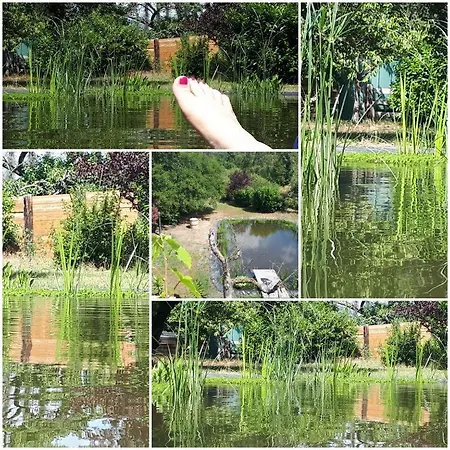 Am Schwimmteich 2 Lejlighed *